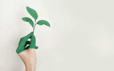 Najava konferencije: „Zeleni i rodno odgovorni prioriteti pred Opće izbore 2026 – Nema nazad!”