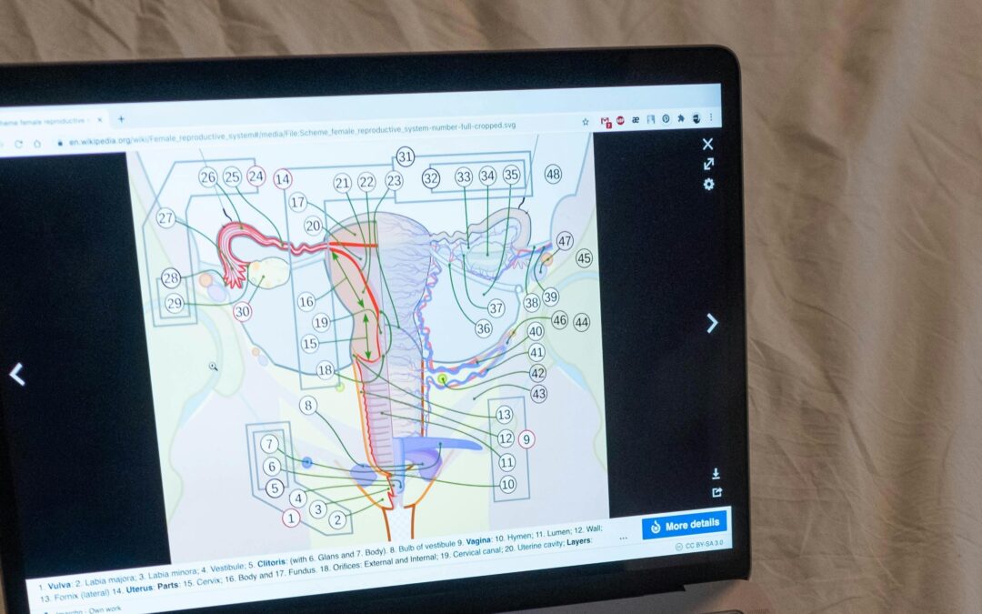 Nauka konačno istražuje otpornost ženskog tijela: Ženske jajne stanice odolijevaju starenju na ćelijskoj razini